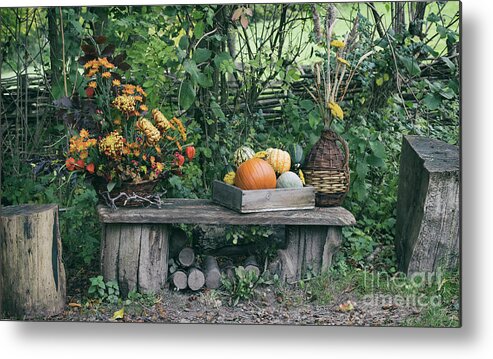 Autumn Metal Print featuring the photograph The Onset of Autumn #1 by Tim Gainey