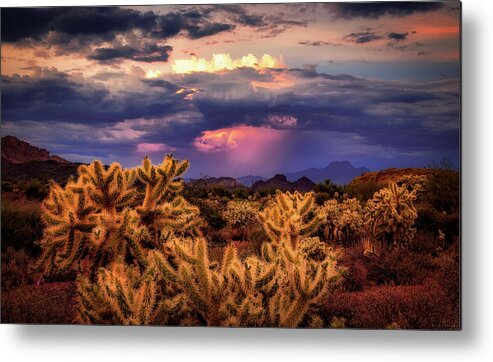 American Southwest Metal Print featuring the photograph Break in the Heat by Rick Furmanek