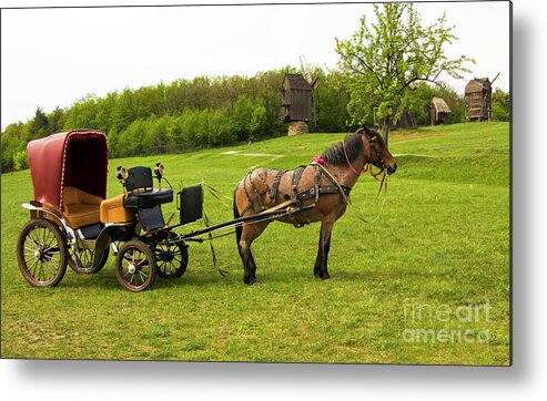 Horse Metal Print featuring the photograph Carriage with brown horse by Irina Afonskaya