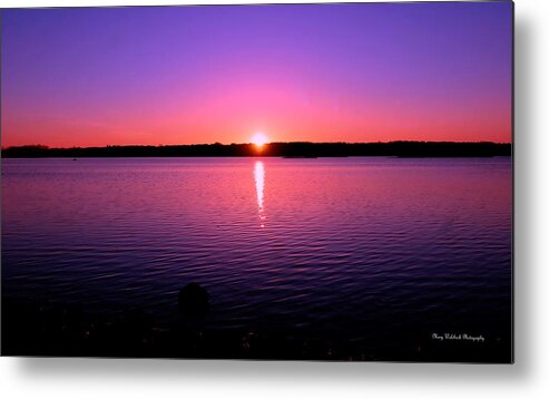 Sunset Metal Print featuring the photograph Color my World by Mary Walchuck