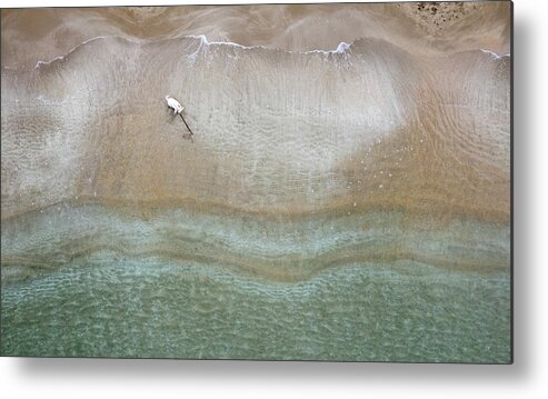 Animal Running Metal Print featuring the photograph Drone aerial of white Dog running and playing at empty sandy beach by Michalakis Ppalis