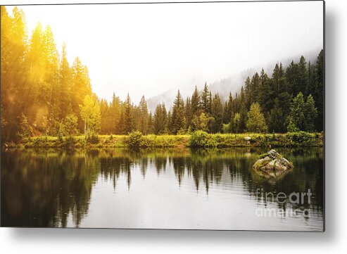 Colorado Metal Print featuring the photograph Sunlight and Fog Before the Storm by Lincoln Rogers