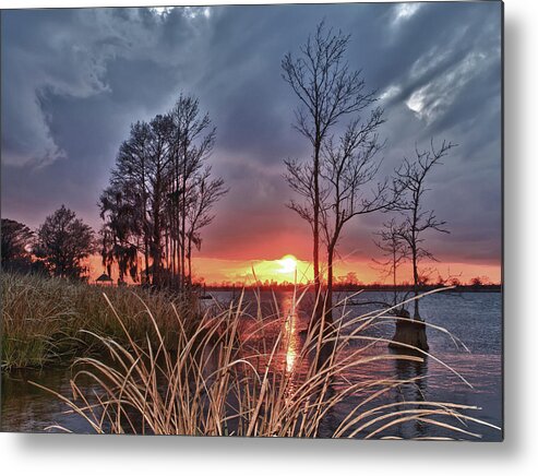 Scenic River Sunset Metal Print featuring the photograph Grassy View Sunset #1 by Mike Covington