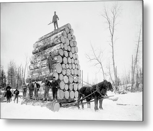 Timber Metal Print featuring the photograph Timber Logging #1 by Library Of Congress/science Photo Library