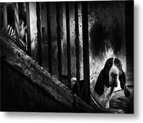 Dog Metal Print featuring the photograph Untitled #26 by Antonio Grambone
