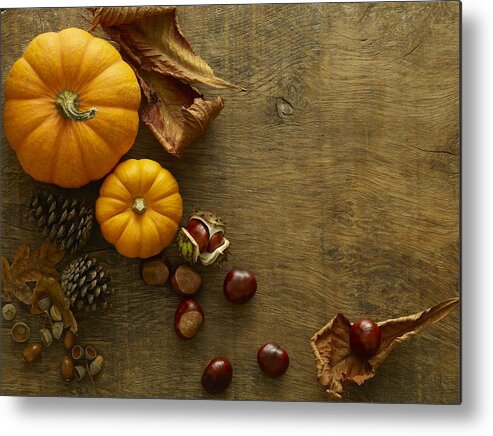 Conkers Metal Print featuring the photograph Autumn still life #3 by Science Photo Library