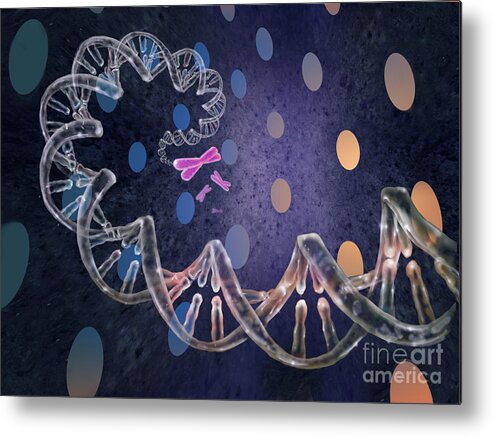 Dna Metal Print featuring the photograph Cellular Dna #3 by Jim Dowdalls