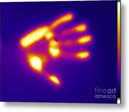 Digital Infrared Thermal Imaging Metal Print featuring the photograph Thermal Shadow #4 by GIPhotoStock
