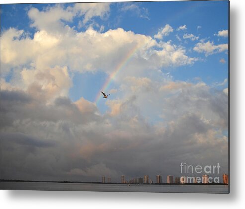 Rainbow Metal Print featuring the photograph 6- Rainbow and Seagull by Joseph Keane