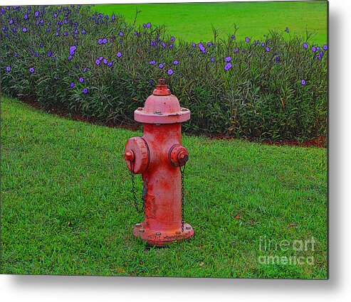 Fire Hydrant Metal Print featuring the photograph 62- Puppy Garden by Joseph Keane