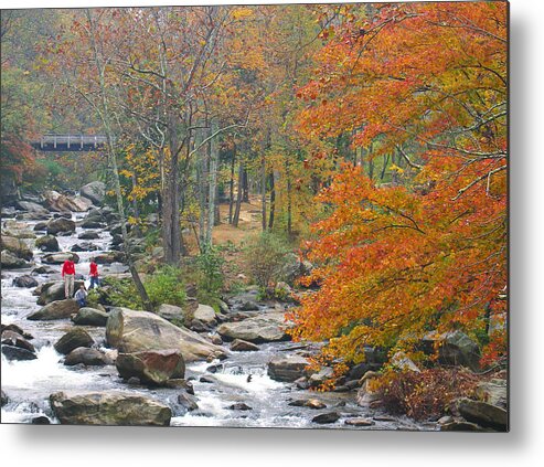 Fall Metal Print featuring the photograph Country Living by Robert McKinstry