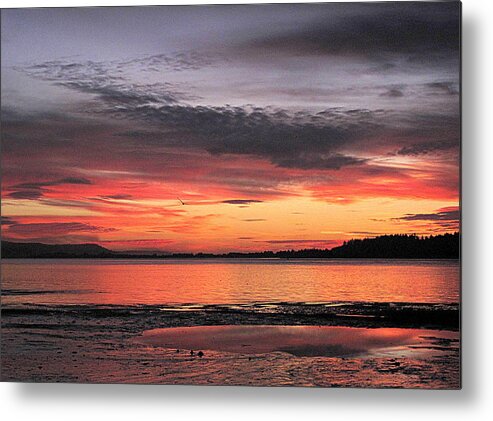 Sunset Metal Print featuring the photograph Alluring Sunset by Suzy Piatt