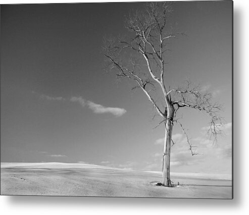 Minimalism Metal Print featuring the photograph Alone - BW by Wayne Moran