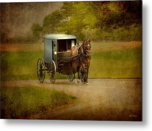 Amish Metal Print featuring the photograph Amish Buggy Ride by Dyle  Warren