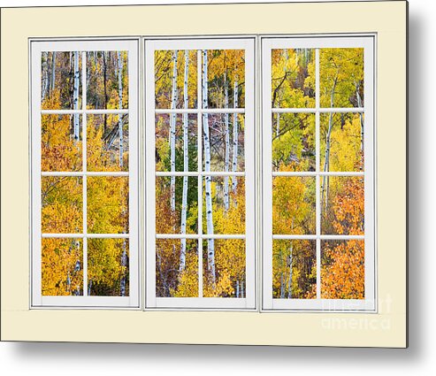 Window Metal Print featuring the photograph Aspen Tree Magic Cream Picture Window View 3 by James BO Insogna