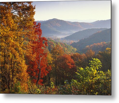 Feb0514 Metal Print featuring the photograph Autumn On Blue Ridge Range Near Jumping by Tim Fitzharris
