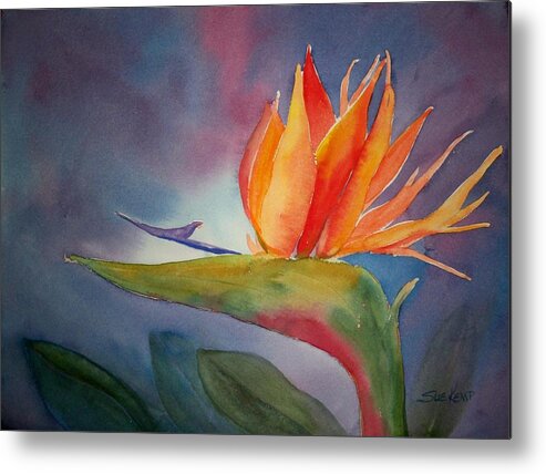 Flower Painting Metal Print featuring the painting Bird of Paradise by Sue Kemp