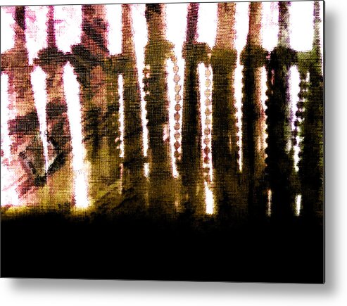 Blinds Metal Print featuring the photograph Blinds and Curtains by Steve Taylor
