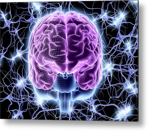 Brain Metal Print featuring the photograph Brain And Nerve Cells by Alfred Pasieka/science Photo Library