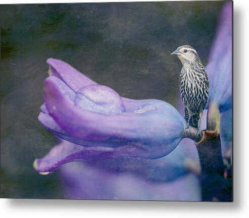 Brown Bird Metal Print featuring the photograph Brown Bird on a Purple Flower by Crystal Wightman