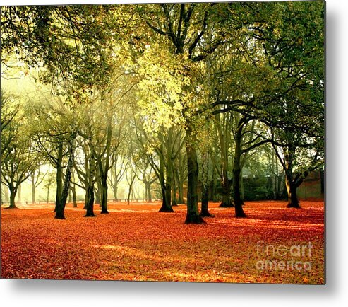 Brown Metal Print featuring the photograph Brown Colors by Boon Mee