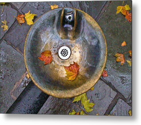New York City Metal Print featuring the photograph Bryant Park Fountain In Autumn by Gary Slawsky