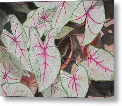 Floral Metal Print featuring the painting Caladiums by Jill Ciccone Pike
