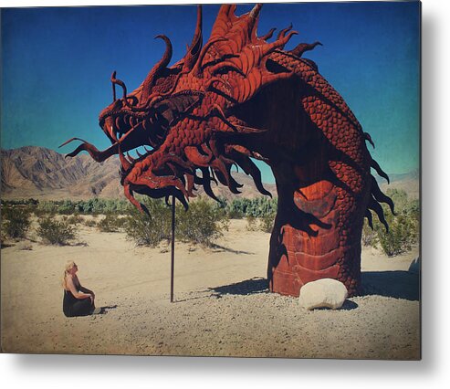Galleta Meadows Metal Print featuring the photograph Calmly Facing Down My Demon by Laurie Search