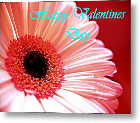 Valentine Metal Print featuring the photograph Card Valentines Day by Bob Johnson