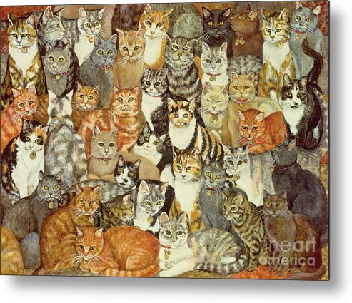 Cat Metal Print featuring the painting Cat Spread by Ditz