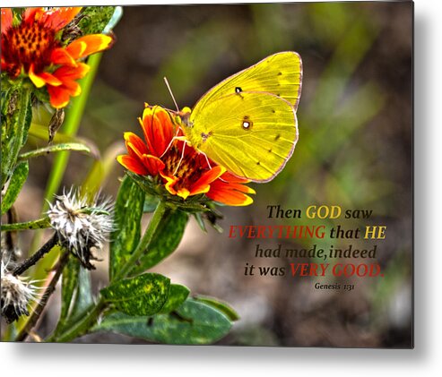 Cloudless Sulphur Butterfly Metal Print featuring the photograph Cloudless Sulphur Butterfly And Scripture by Sandi OReilly