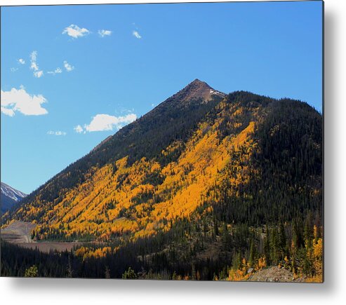 Gold Metal Print featuring the photograph Colorado Gold by Trent Mallett