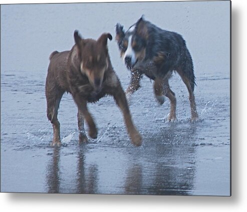 Dogs Metal Print featuring the photograph Cowboy and Blue by Richard Hinger