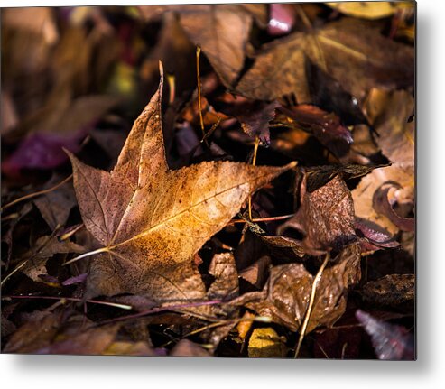 Leaves Metal Print featuring the photograph Death of Autumn by Mark Lucey