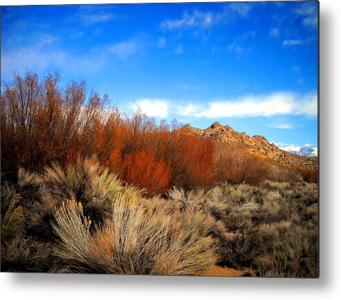 Desert Metal Print featuring the photograph Desert Colors by Marilyn Diaz