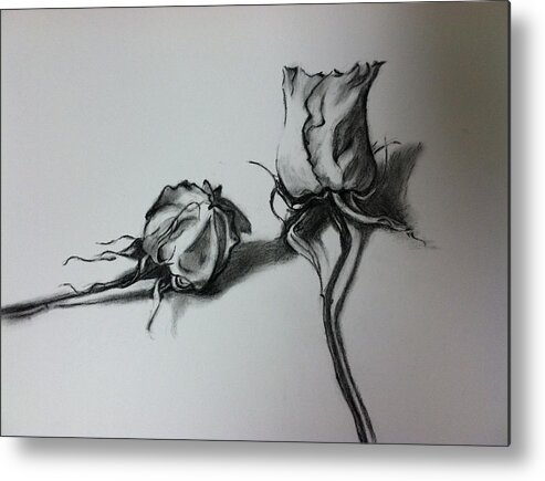  Metal Print featuring the drawing Dried Rose by Hae Kim