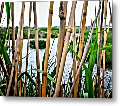 Duck Metal Print featuring the photograph Duck Paradise by John Duplantis