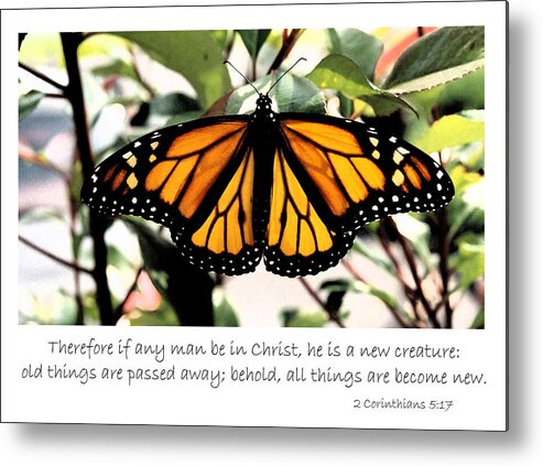 Butterfly Metal Print featuring the photograph English New creature in Christ by Denise Beverly