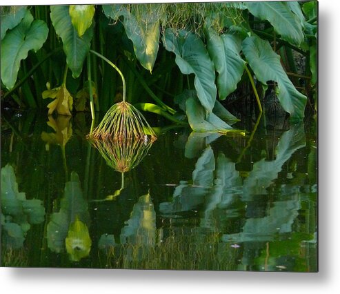 Pond Metal Print featuring the photograph Fairy Pond by Evelyn Tambour
