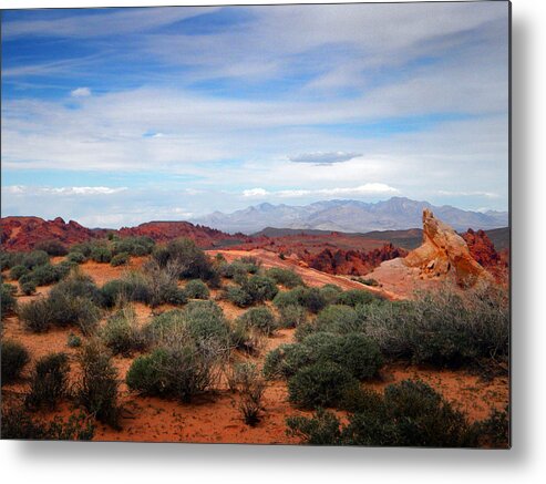 Valley Of Fire Metal Print featuring the photograph Far Off Across The Desert by Frank Wilson