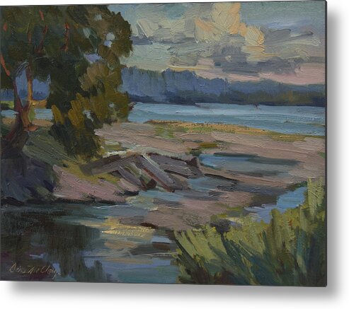 Fern Cove Metal Print featuring the painting Fern Cove Vashon Island by Diane McClary