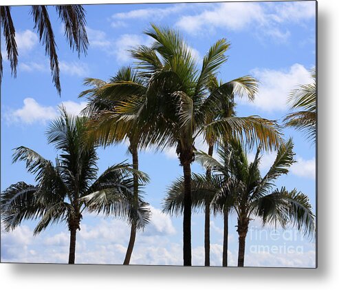 Palm Metal Print featuring the photograph Florida Palms by Jayne Carney