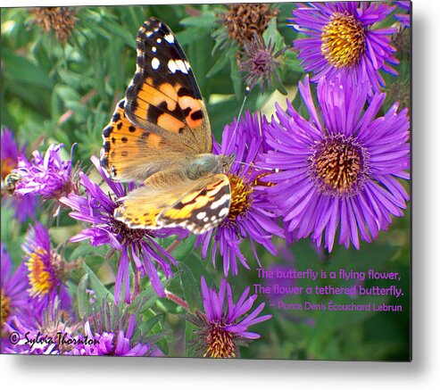 Butterfly Metal Print featuring the photograph Flying Flower by Sylvia Thornton