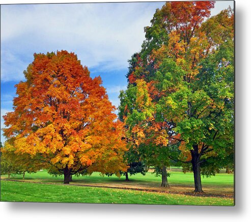 Foliage Metal Print featuring the photograph Foliage in Connecticut by Pat Moore