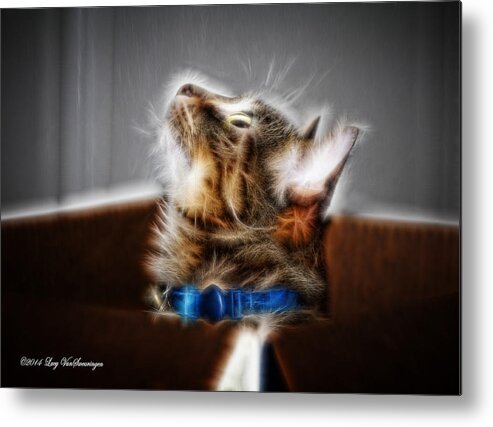 Cat Metal Print featuring the photograph Fuzzy Friend by Lucy VanSwearingen
