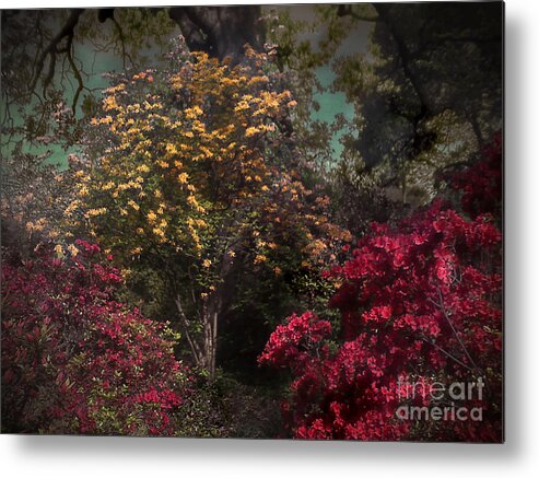Germantown Metal Print featuring the photograph Garden of Eden by T Lowry Wilson