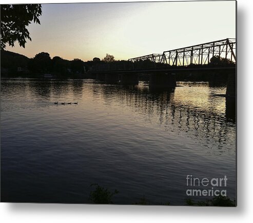 Birds Metal Print featuring the photograph Geese Going Places by Christopher Plummer