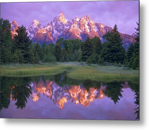 Feb0514 Metal Print featuring the photograph Grand Tetons At Schwabacher Landing by Tim Fitzharris