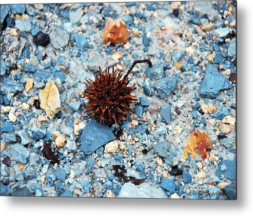 Stickers. Gumball Metal Print featuring the photograph Gumball by Linda Segerson