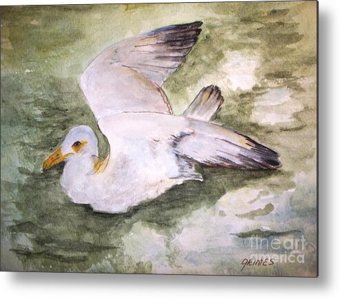 Bird Metal Print featuring the painting Harbor Sea Gull by Carol Grimes